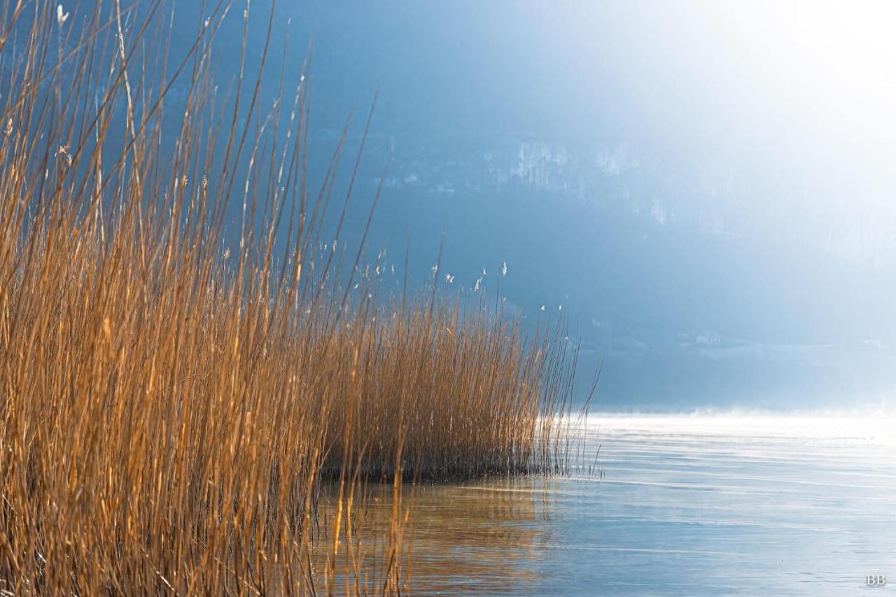 Du Vent Dans Les Arbres -120M2 Belle Vue Sur Le Lac Chindrieux Екстер'єр фото